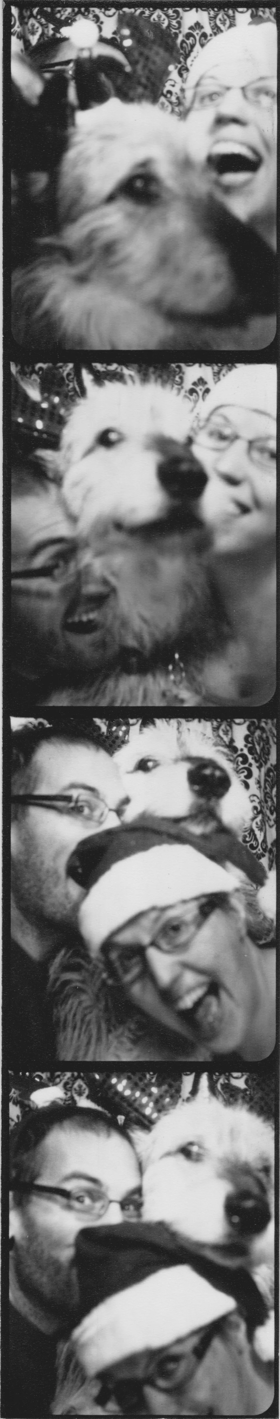 20151206 1.jpeg