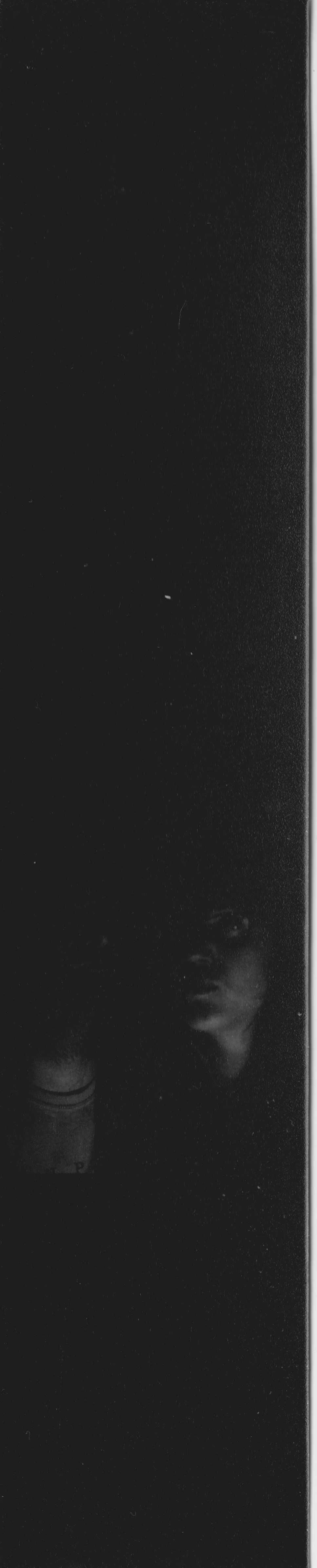 20190425 4.jpeg