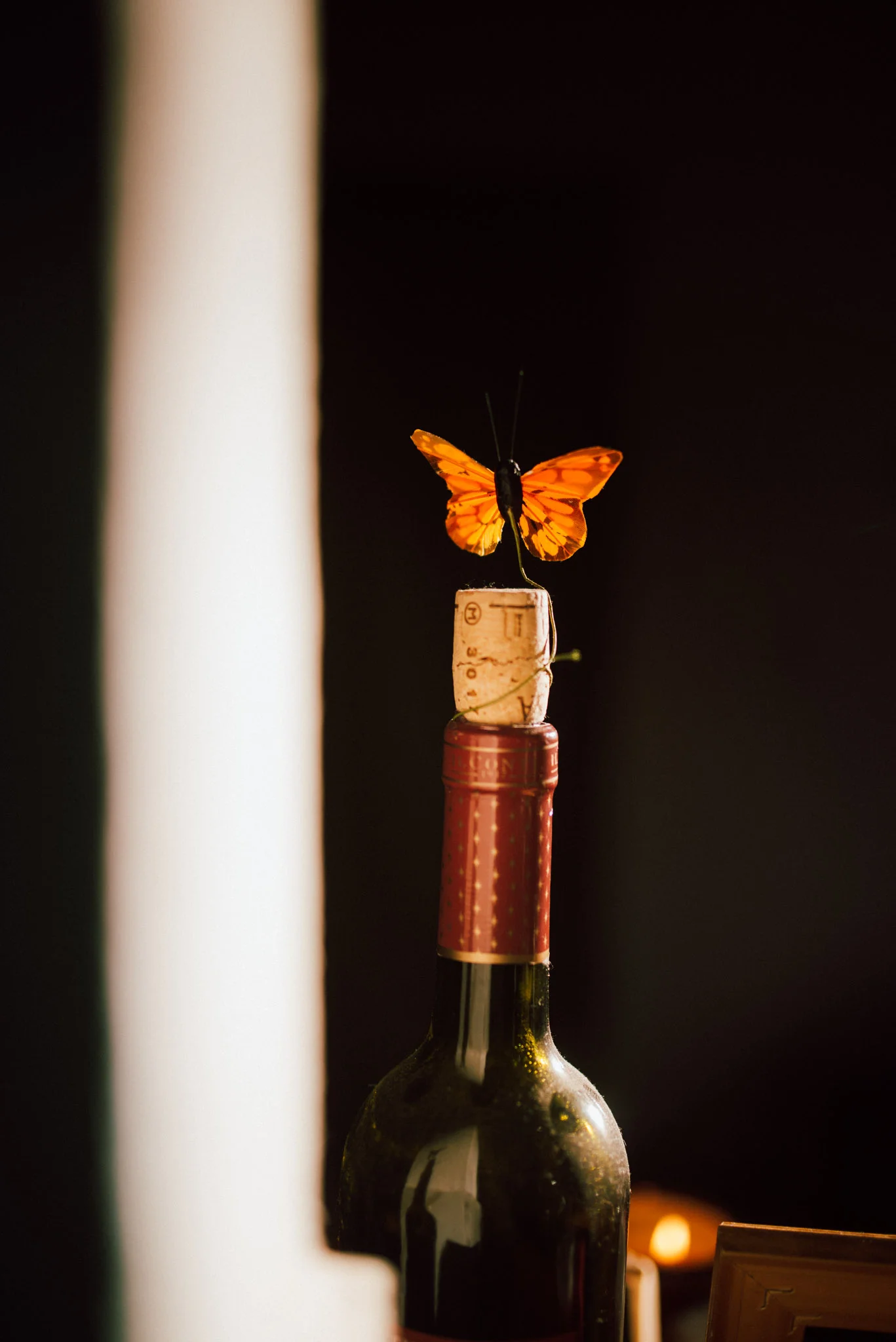 J. Andrade Visual Arts-2311.jpg