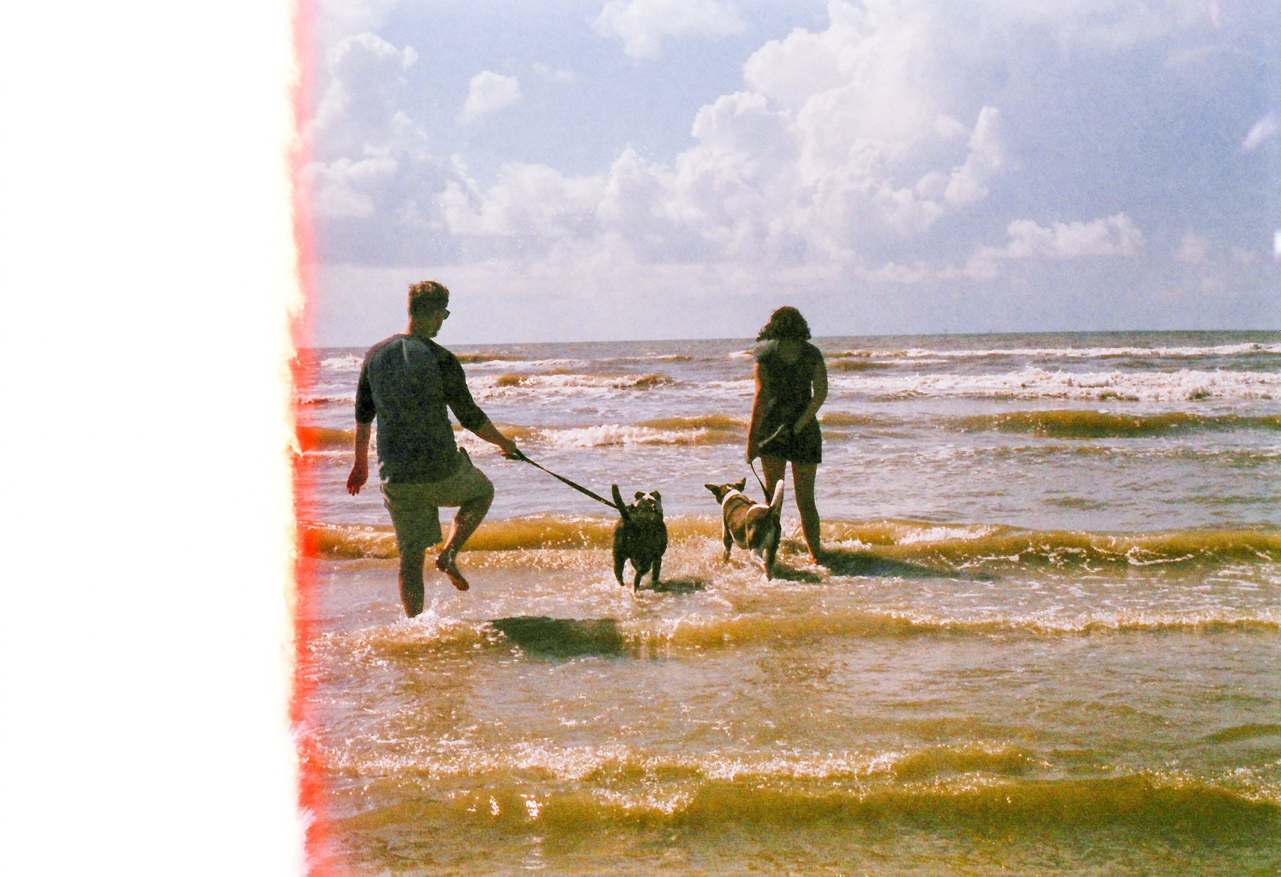 film-houston-dog-photographer-j-andrade-visual-arts-0027-2.jpg