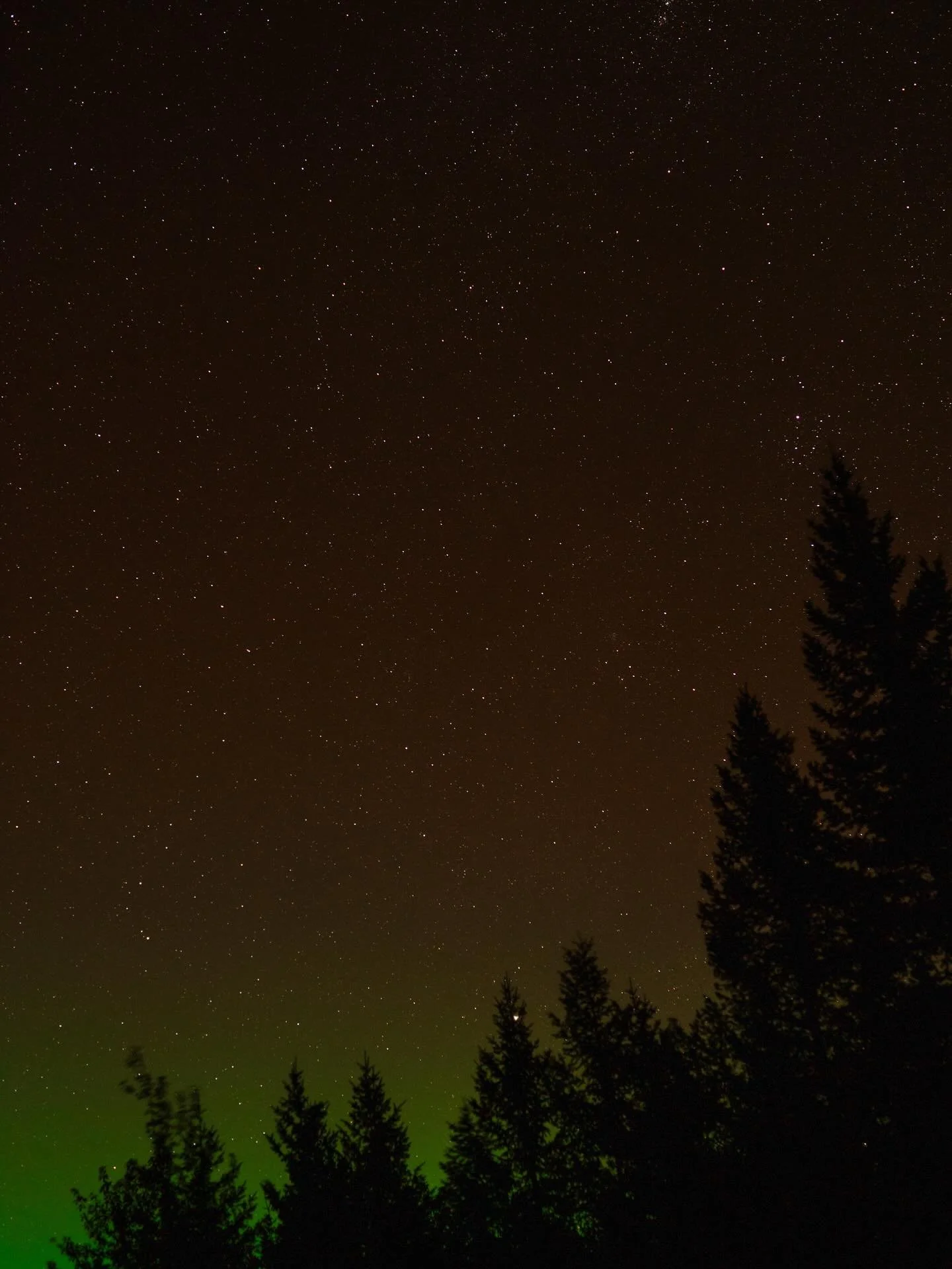 Been having major FOMO not being able to see the Aurora Borealis from Houston so here&rsquo;s last year in Montana where I really thought that my white balance was just really off while photographing the stars at Glacier NP 🤪 and then I realized wha