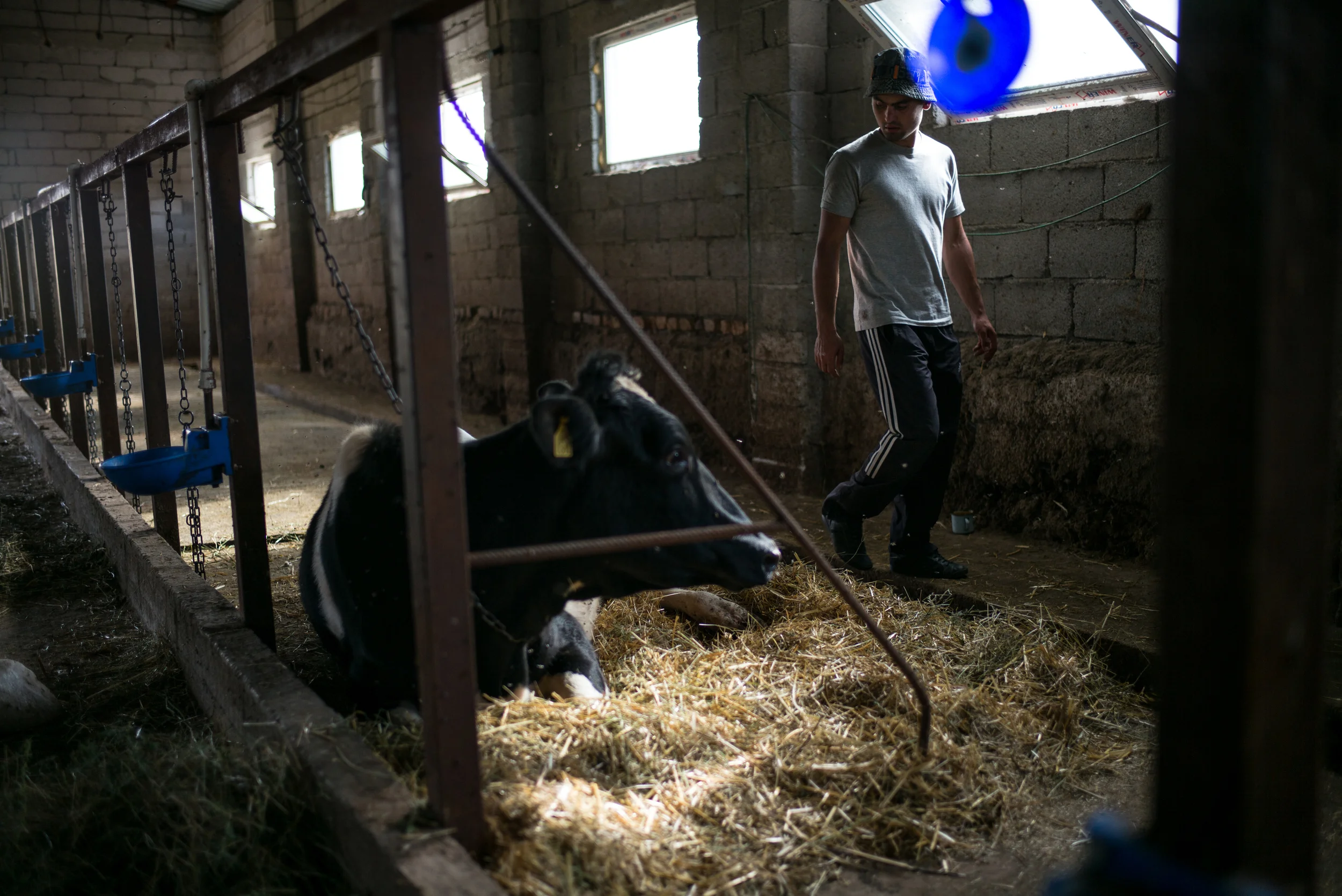 Upstart: Zura the Farmer