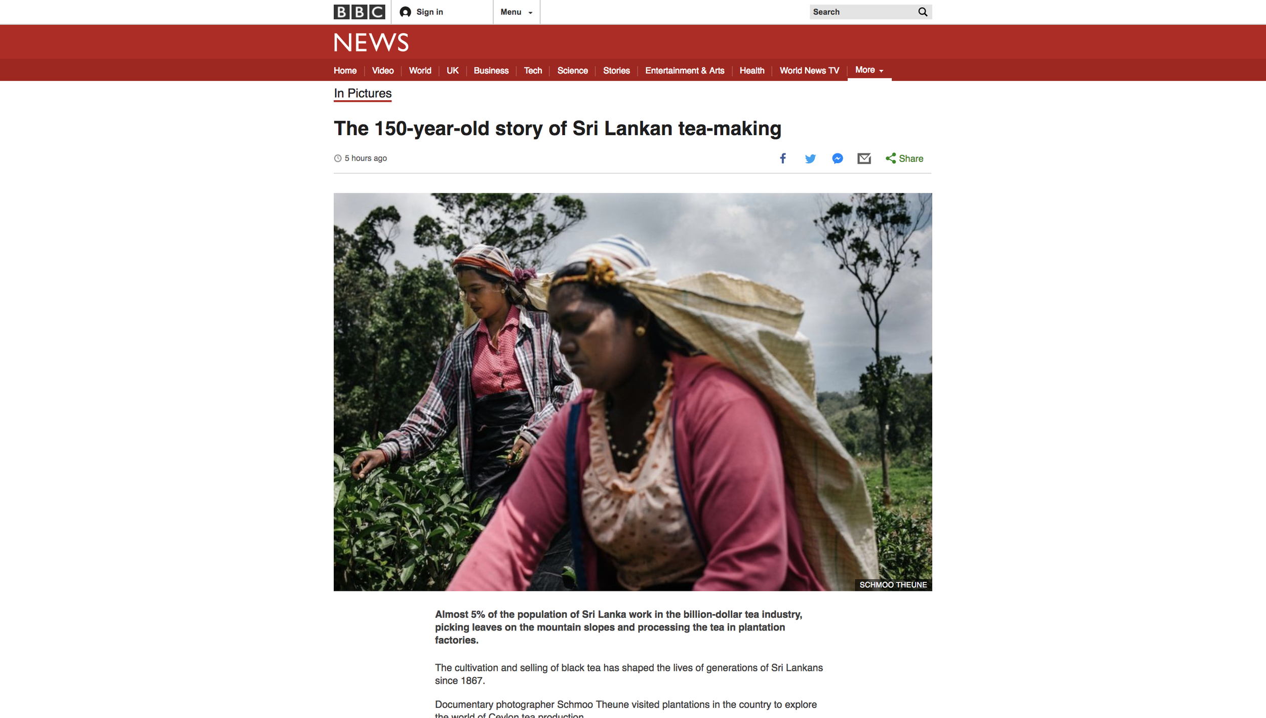 The_150-year-old_story_of_Sri_Lankan_tea-making_-_BBC_News.png