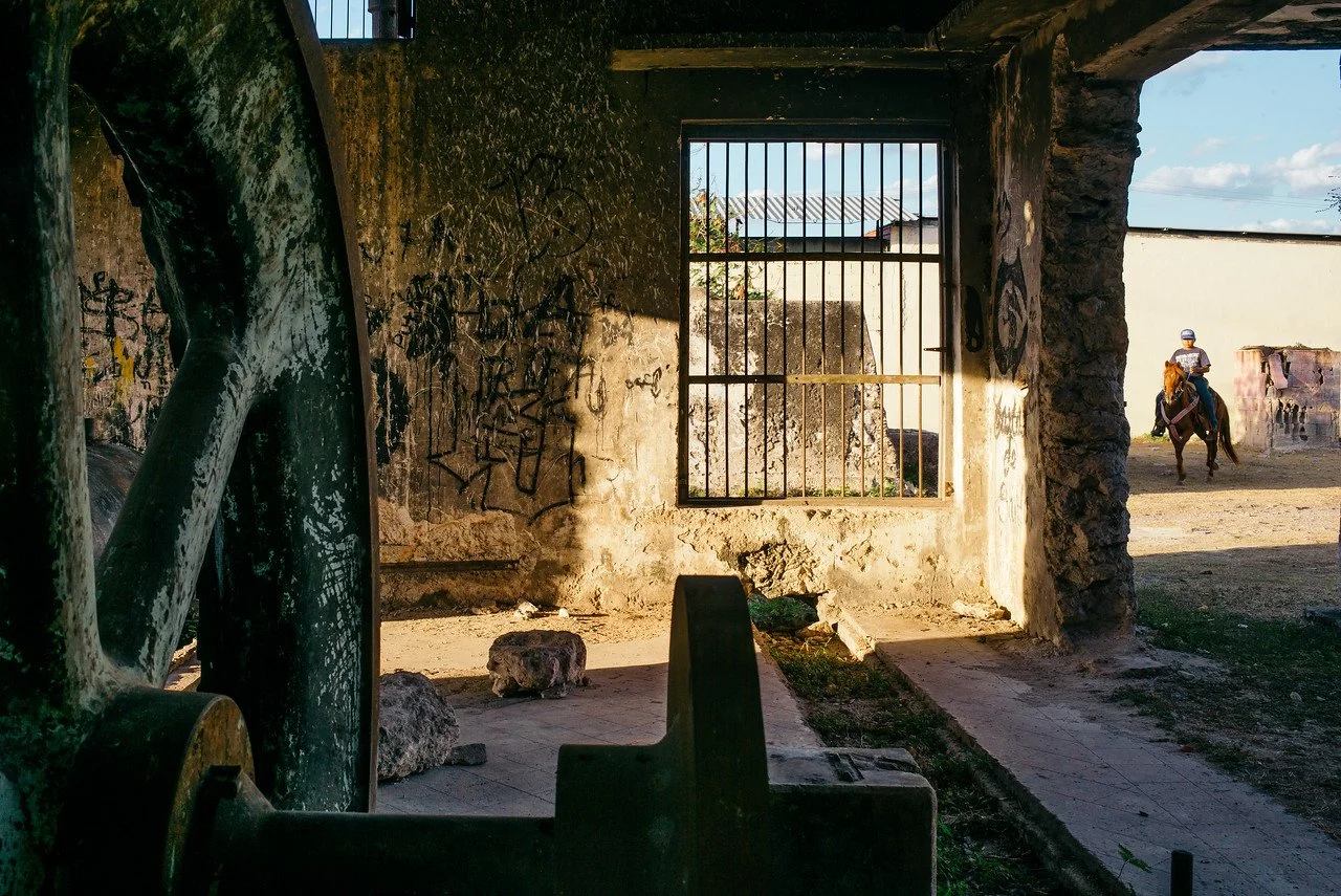 oroverde-20.jpeg