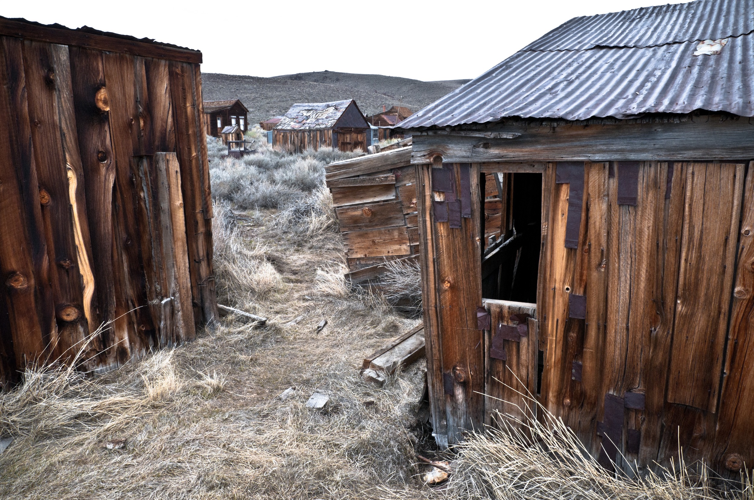   bodie 5   8" x 12",&nbsp;12" x 18" or 20" x 30"  2010    