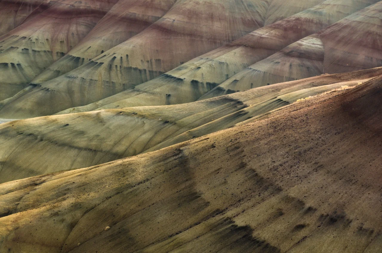fossil beds 1 8" x 12", 12" x 18" or 20" x 30" 2011
