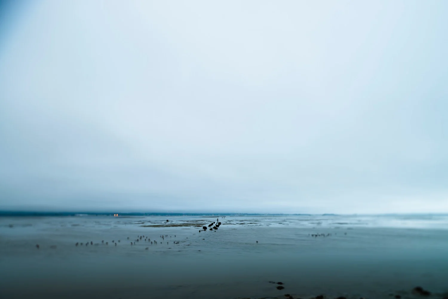 arcata 1 8" x 12", 12" x 18" or 20" x 30" 2012