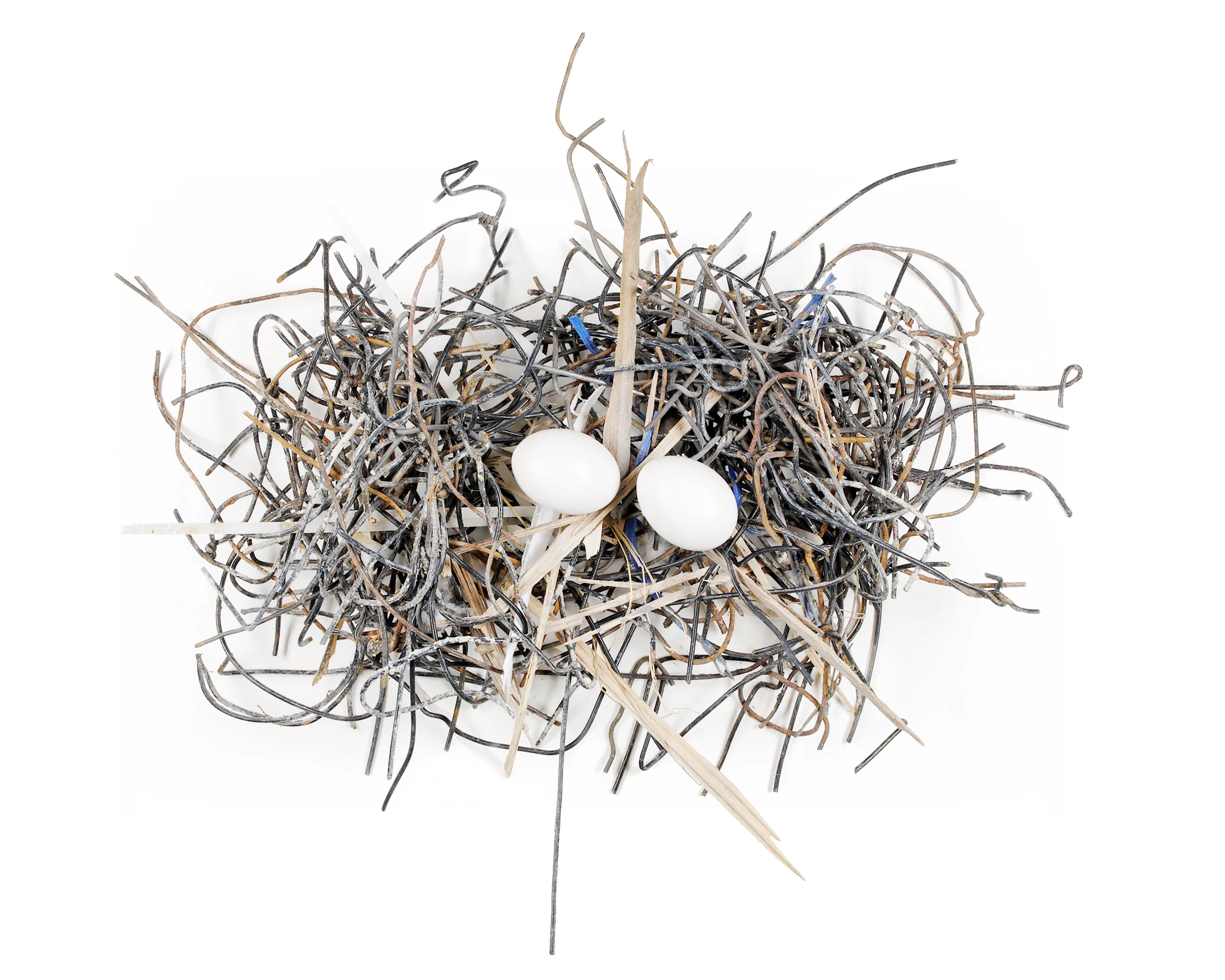 pigeon nest 1 8" x 12" or 12" x 18" 2007