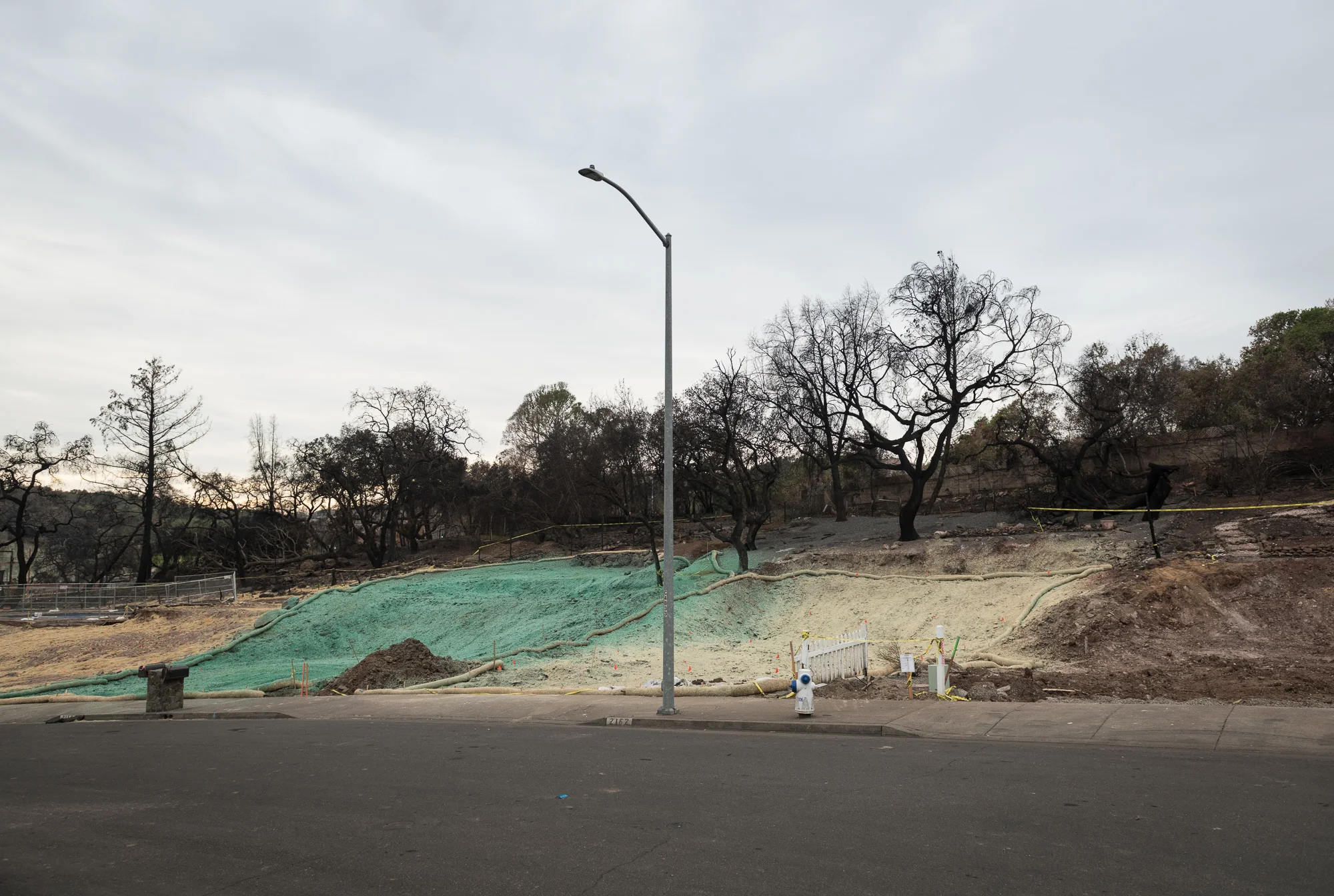 fountaingrove 4 8" x 12", 12" x 18" or 20" x 30" 2017