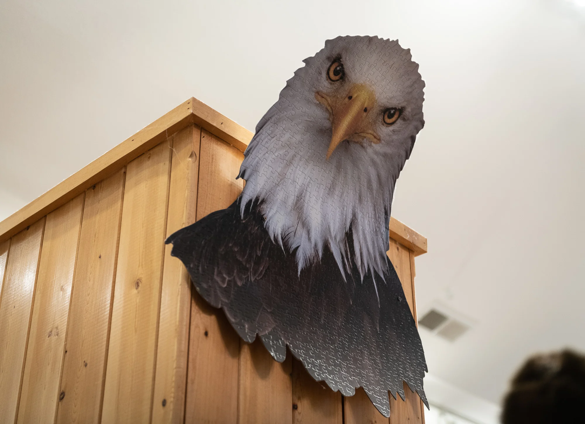 i am eagle 8" x 12", 12" x 18" or 20" x 30" 2018