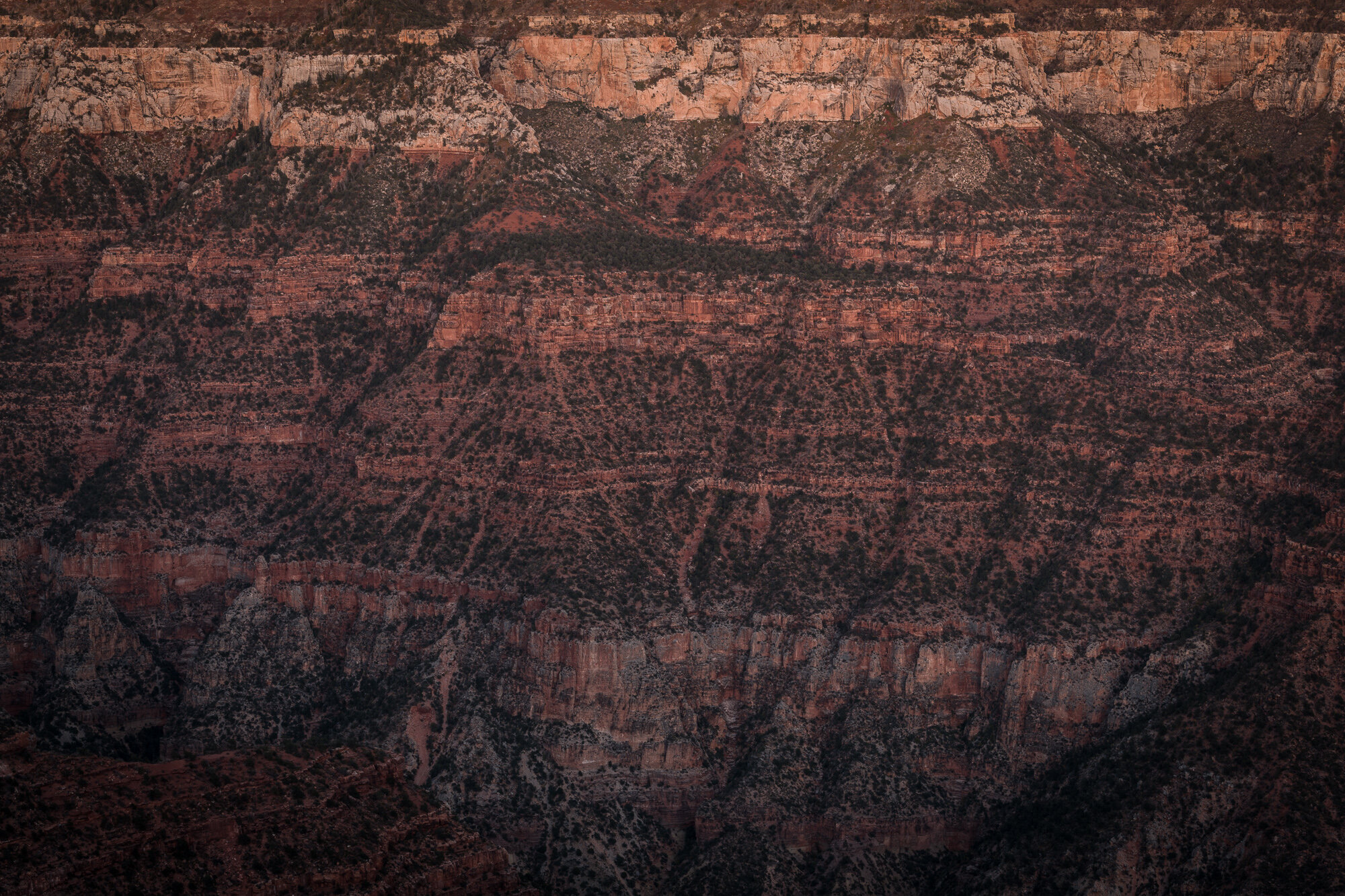   north rim 2   8" x 12", 12" x 18" or 20" x 30"  2019   