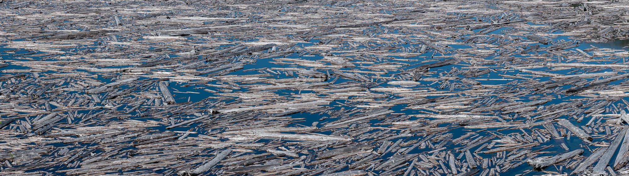   spirit lake panorama 1   up to 64" x 228"  2021   