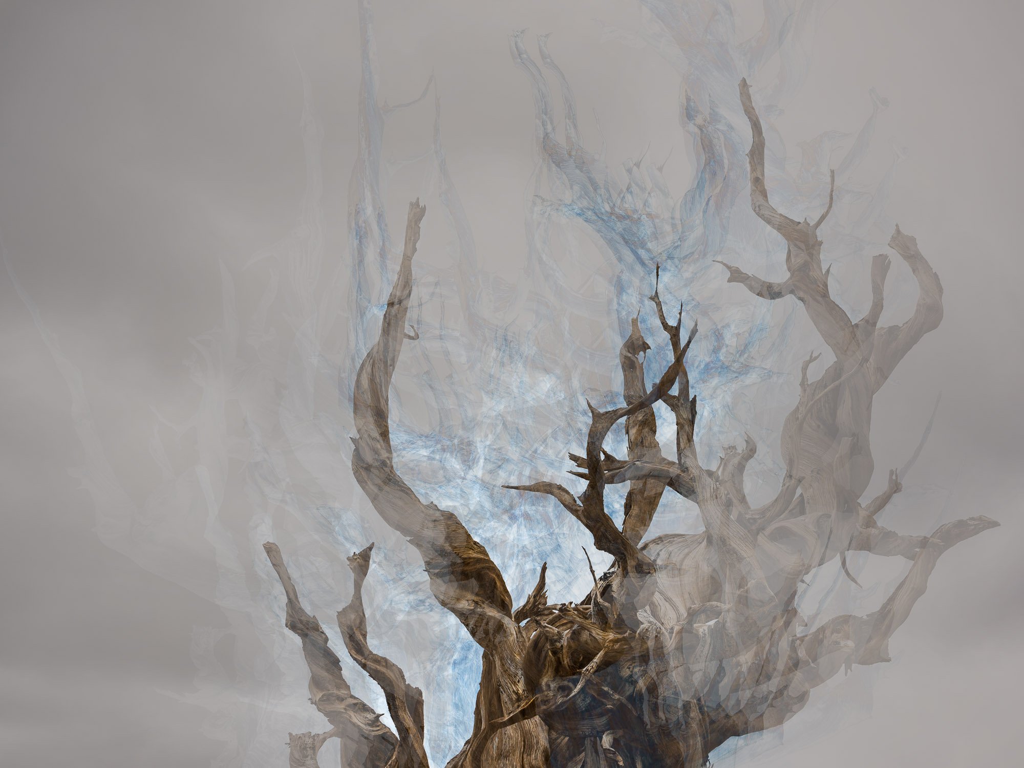  white mountains 3   9" x 12", 18" x 24" or 30" x 40"  2016-2026   