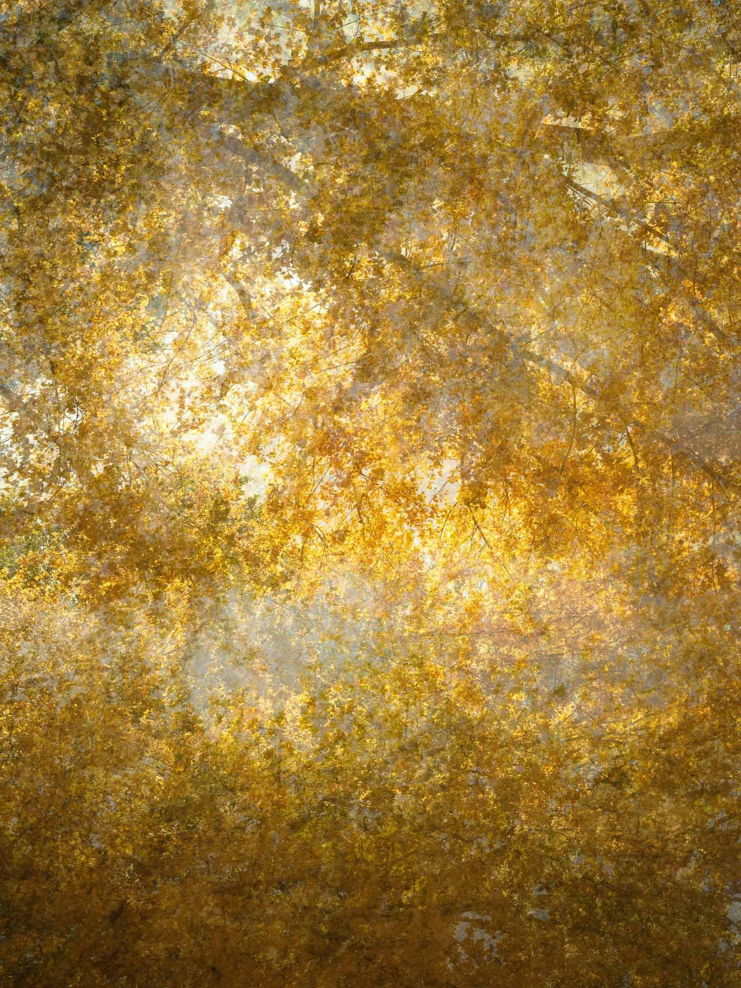   tulelake 1   12" x 9", 24" x 18" or 40" x 30"  2025-2026   