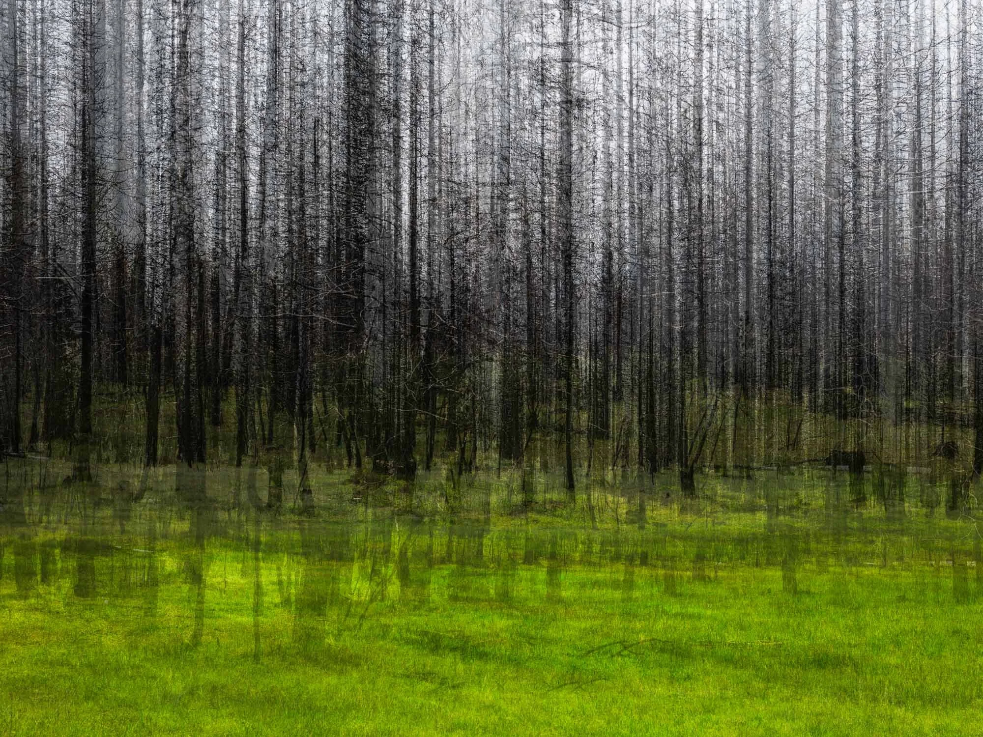   groveland 1   9" x 12", 18" x 24" or 30" x 40"  2016-2026   