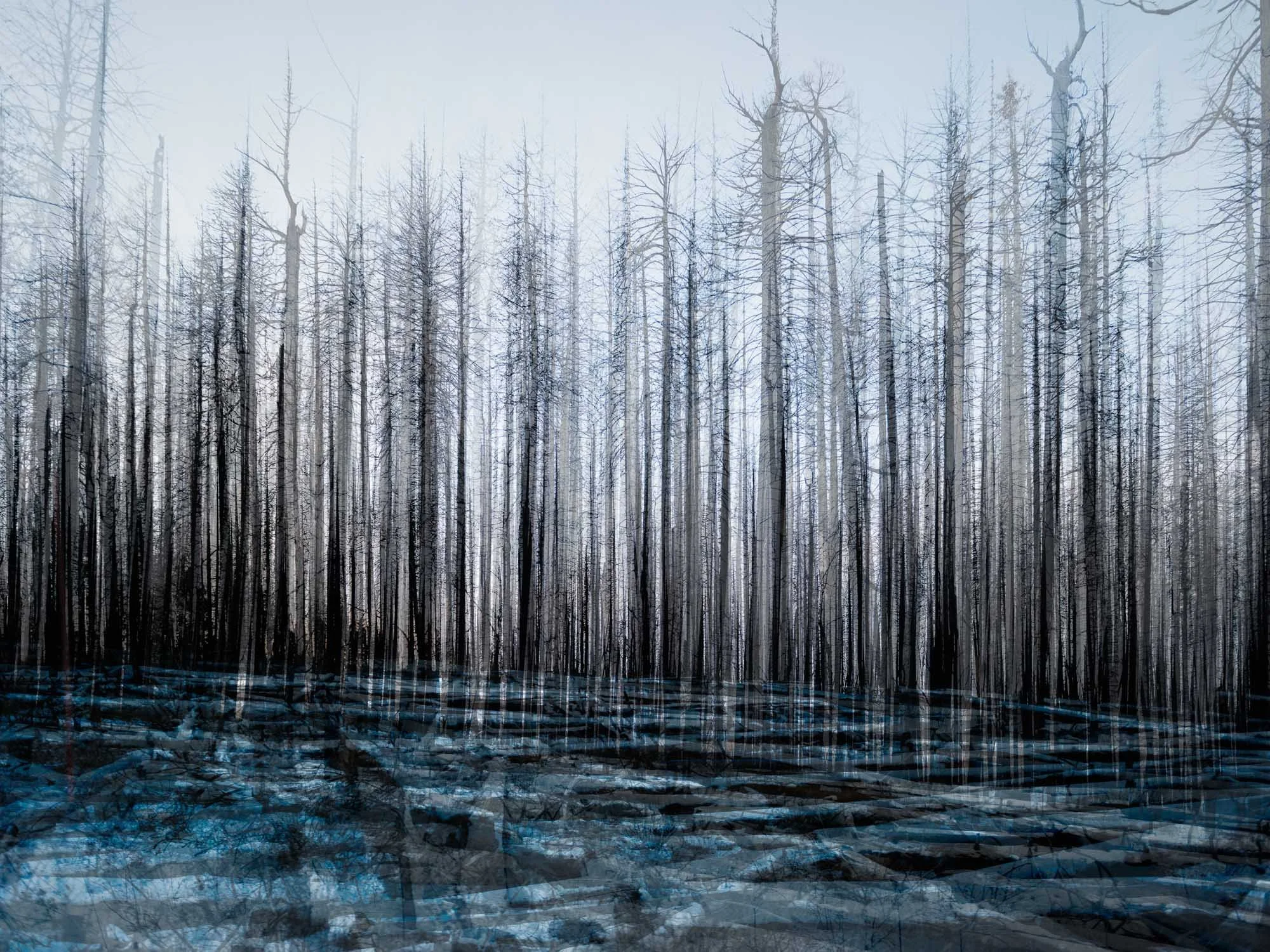   groveland 2   9" x 12", 18" x 24" or 30" x 40"  2016-2026   