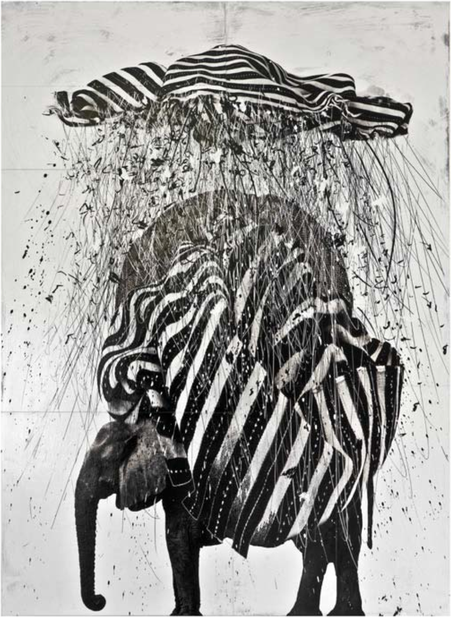 ETOSHA DOWNPOUR