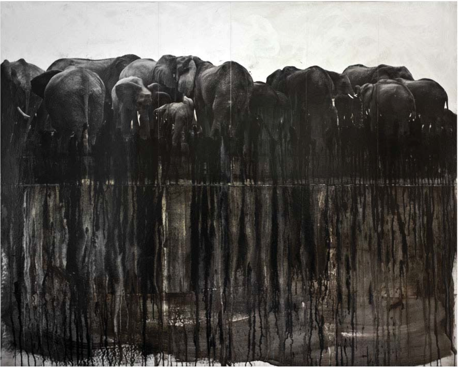 ETOSHA