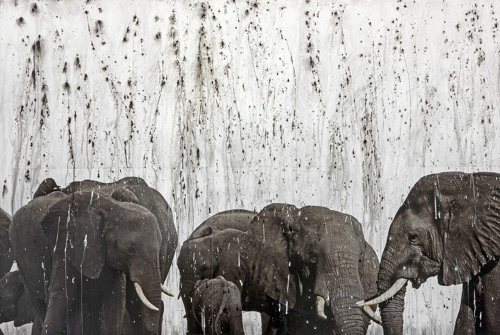 NAMIBIAN RAIN