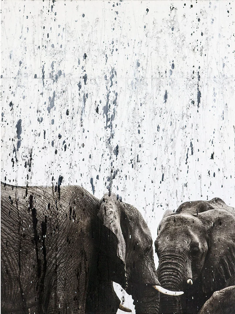 SHORT RAIN
