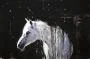 FLURRY
