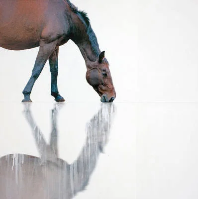 STILL WATER
