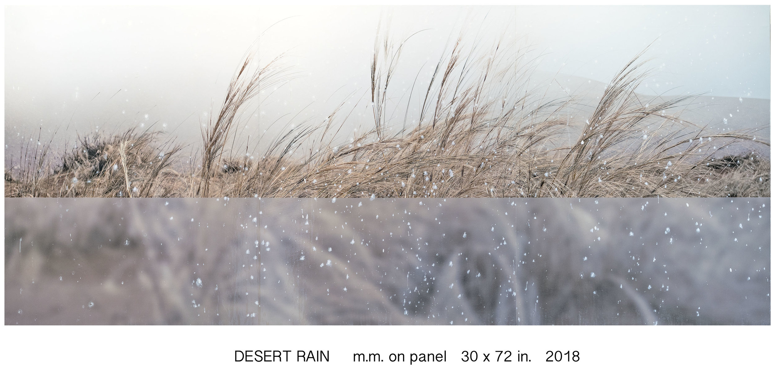 Desert Rain.jpg