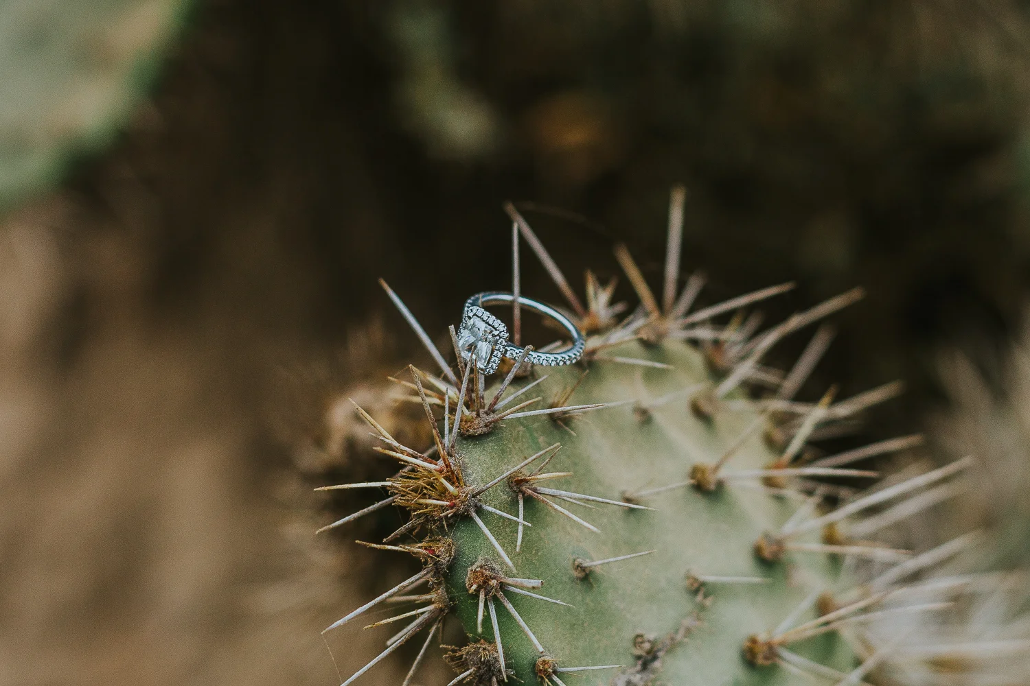 sandiego_weddingphotographer_austin_wedding_adventure_couple_engagement_session-54.jpg