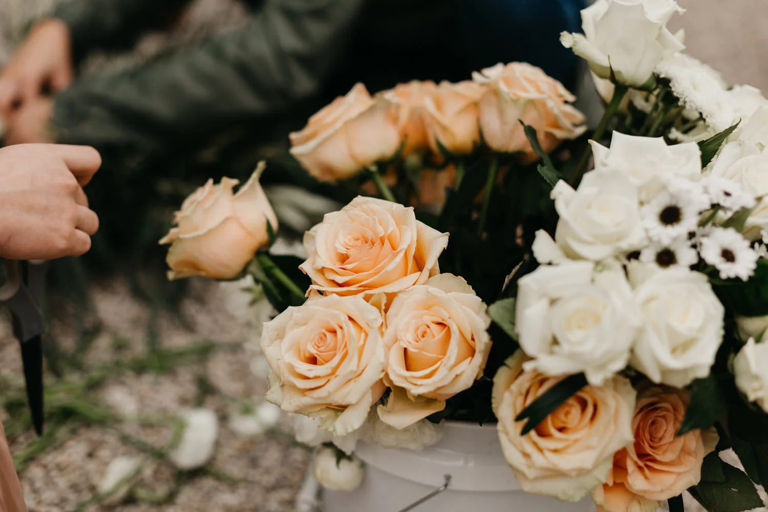 HaileyDylan_Austin Elopement Photographer Austin Wedding Photographer-5.jpg