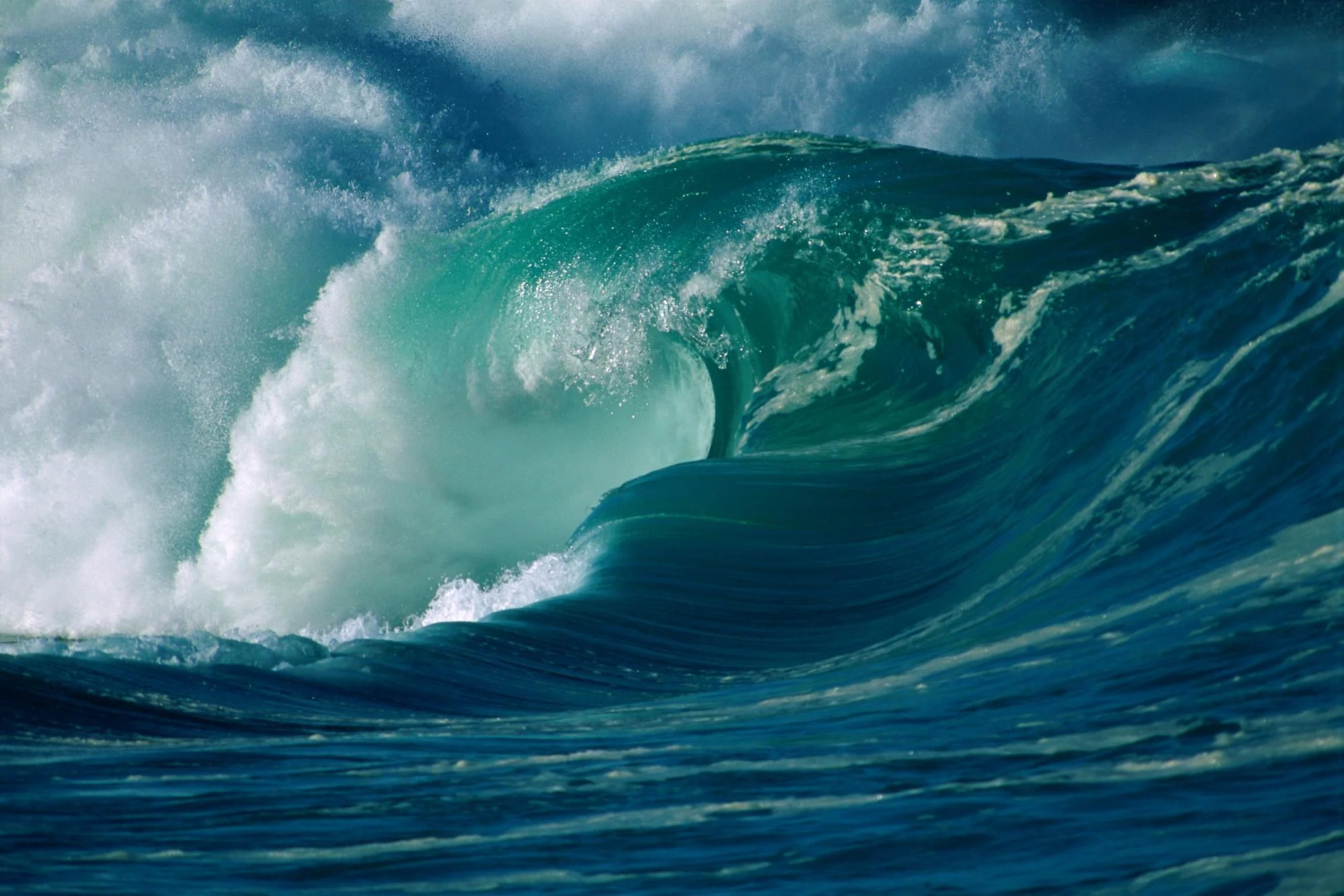 waves-guy.jpeg