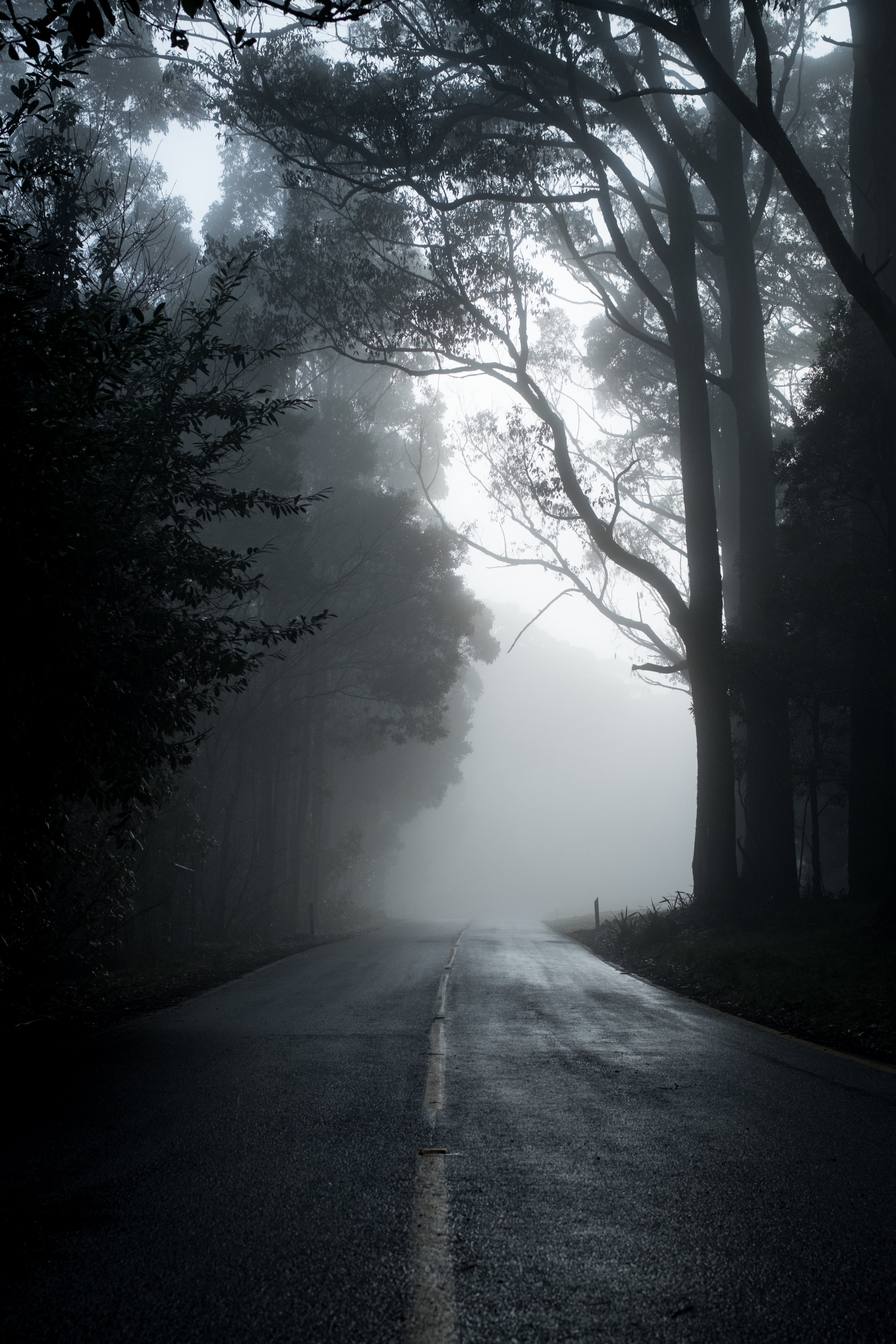 Fear & Pace: Crafting A Powerful Horror Story