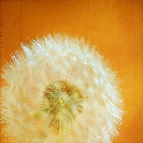 10 Observations on Teaching Creative NonFiction