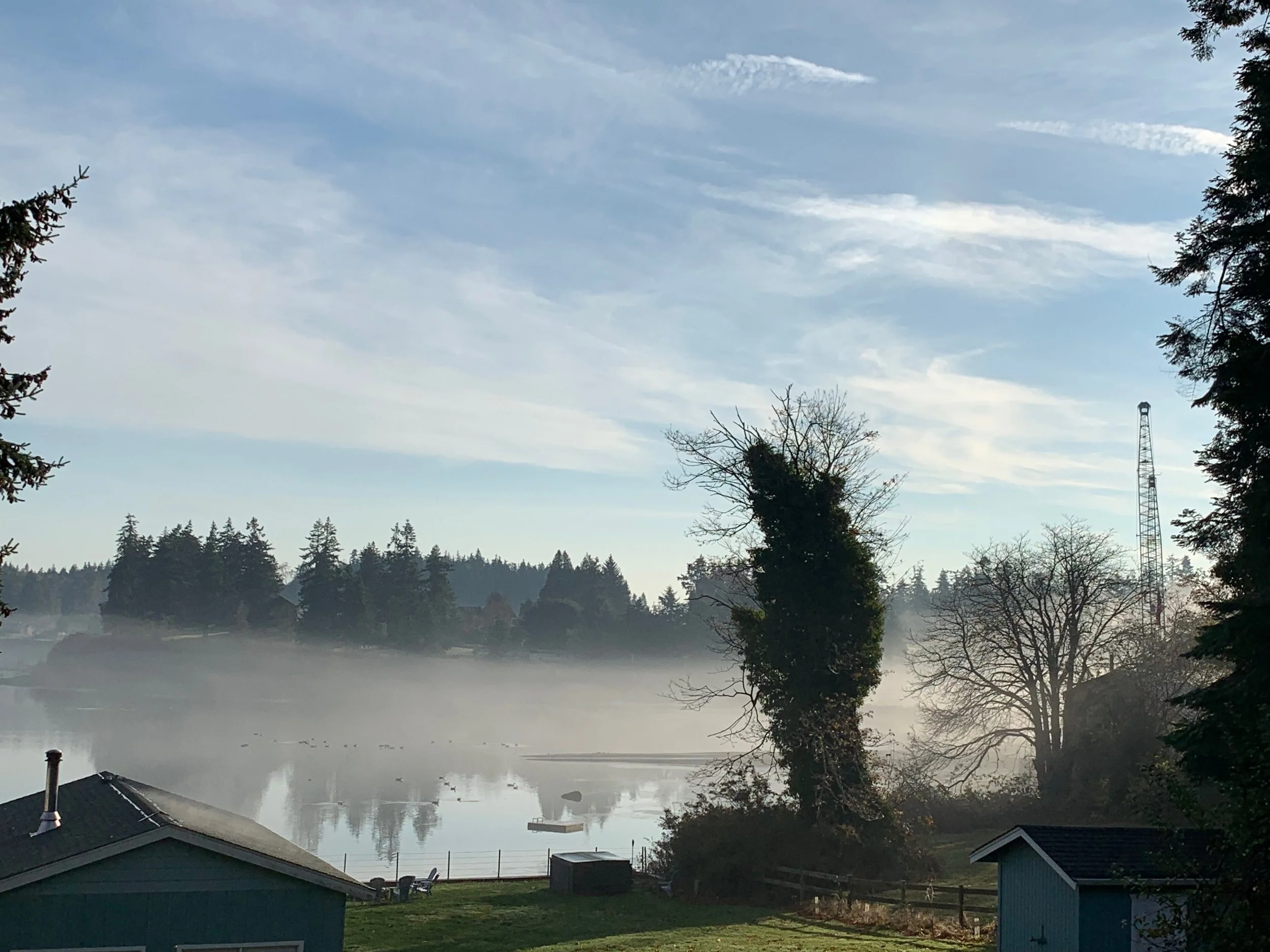 Morning on Whidbey Island, November 2018