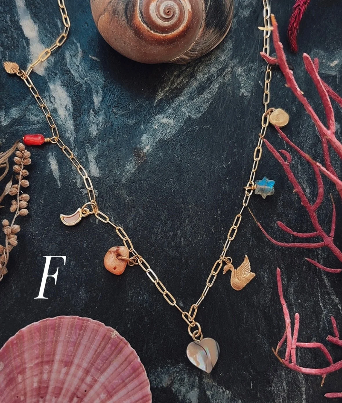 E8888B95-66DC-40CA-877F-EC561B13CB23.JPEG (Copy)