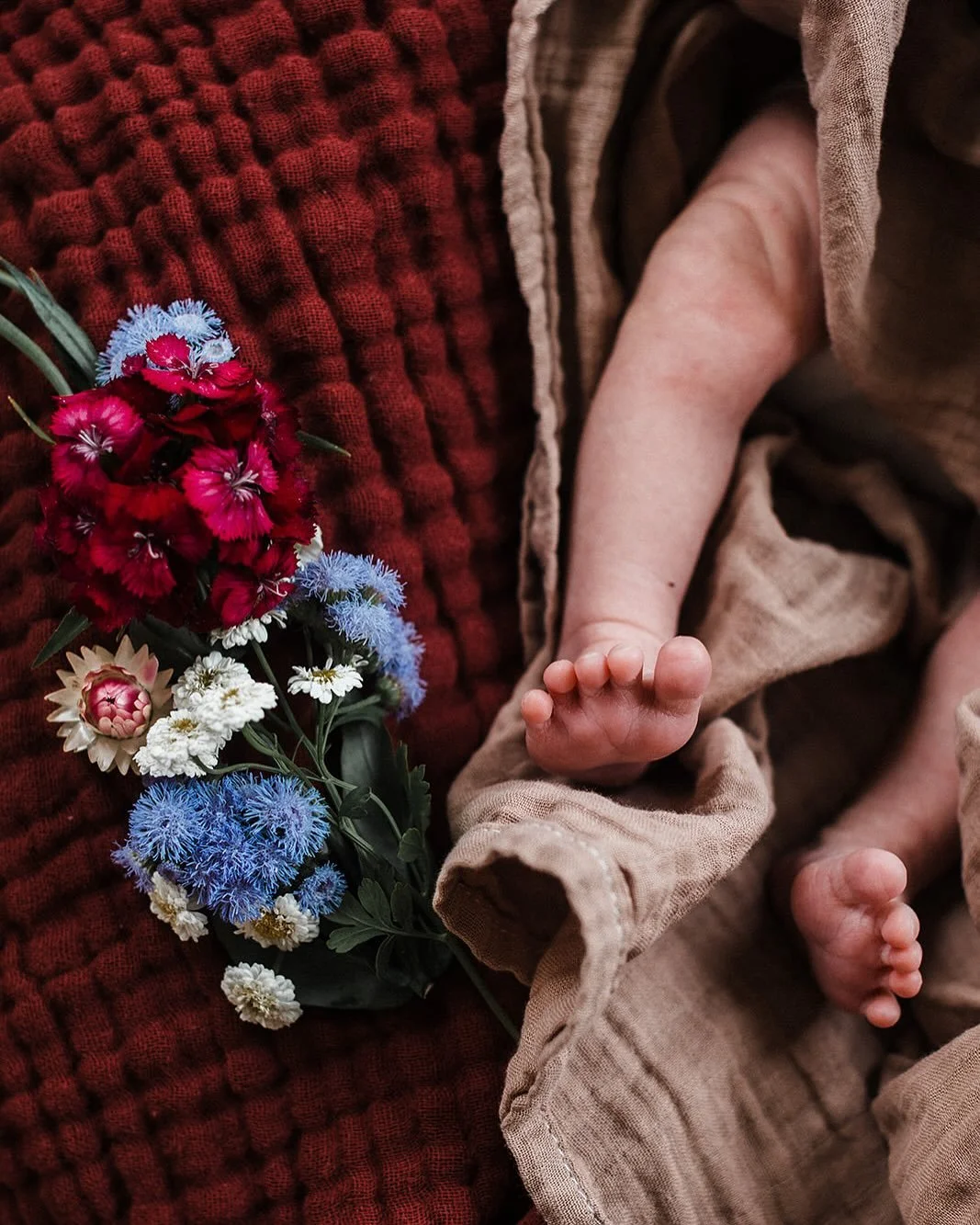 Happy due date to my sweet, petite little Iris Eileen. 🌹💜 Life has been kind of a whirlwind since going into labor (two weeks early, at midnight on the 4th of July&hellip;) but I&rsquo;m so happy we&rsquo;ve gotten this extra time getting to know e