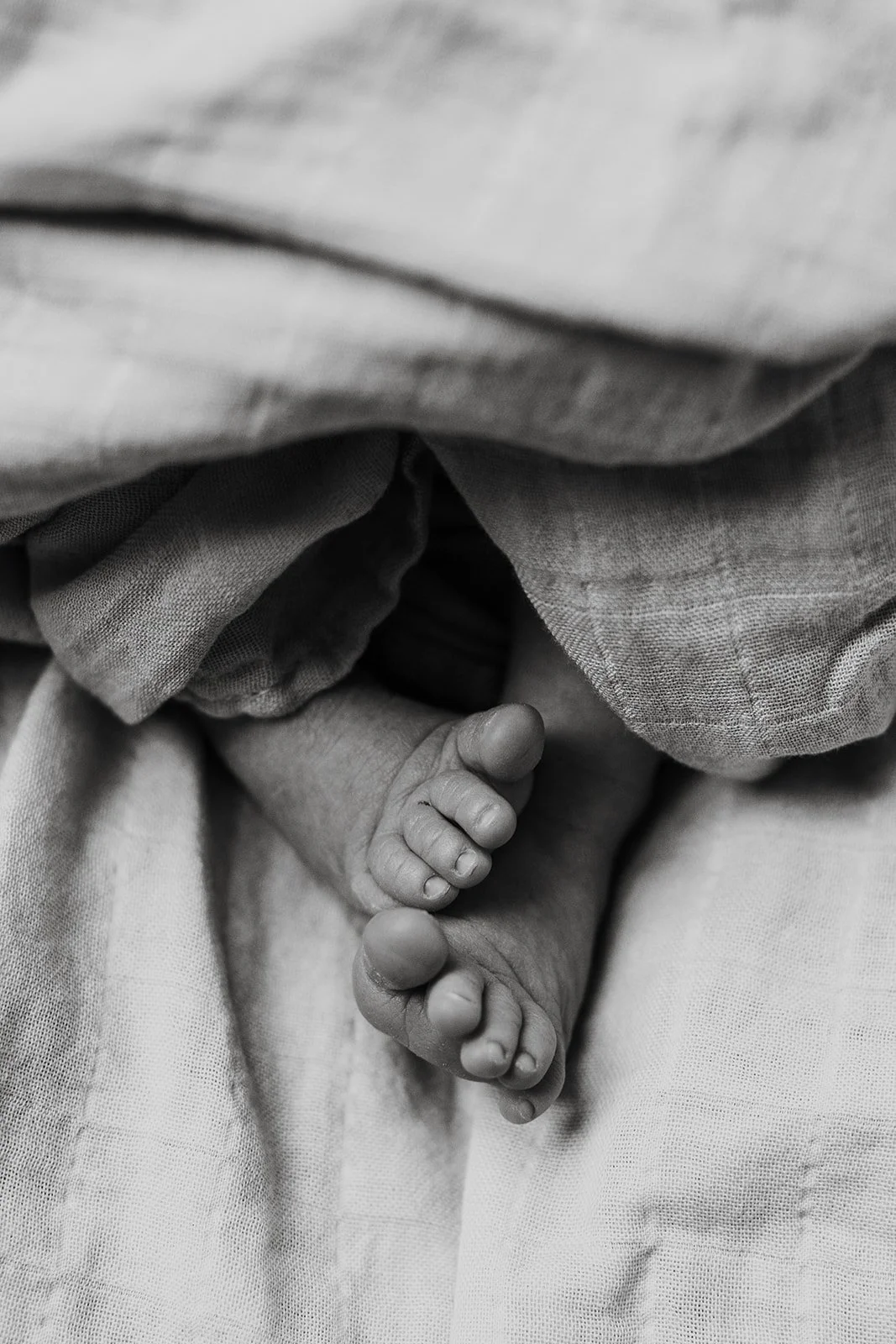 Simko-Newborn-235_websize.jpg