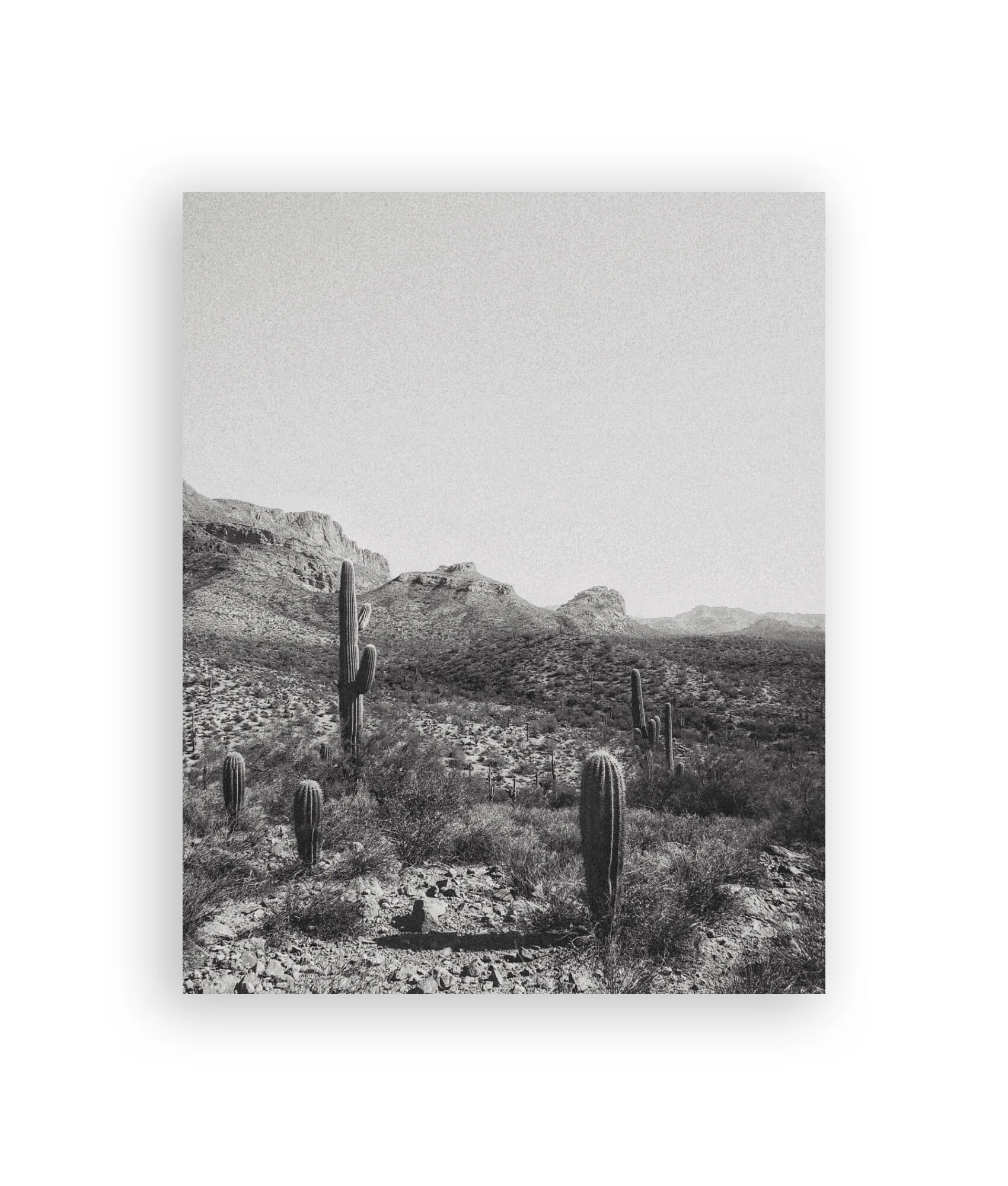 print shop_6.jpg
