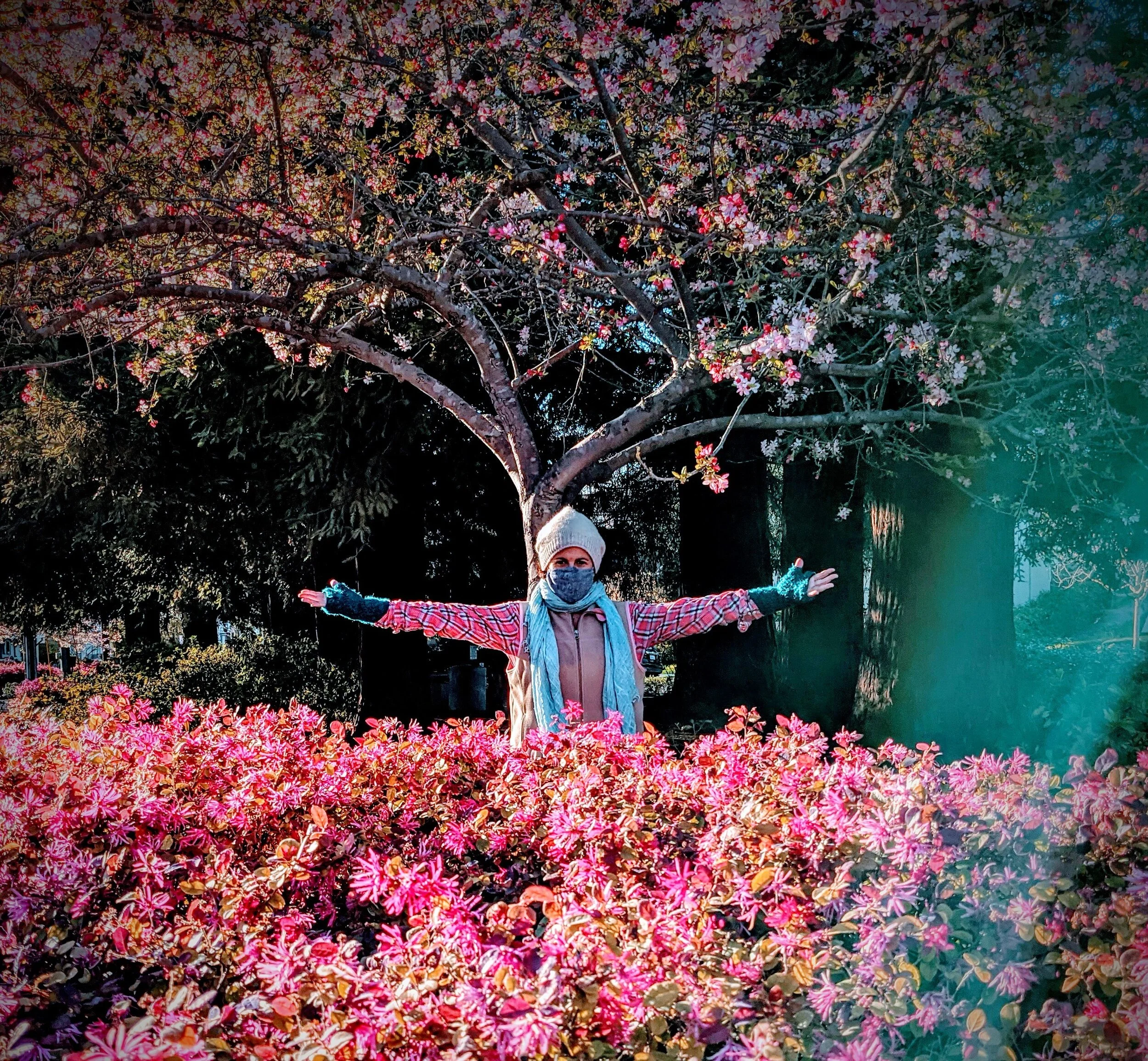 Ann in Quarantine with Flowers.jpg