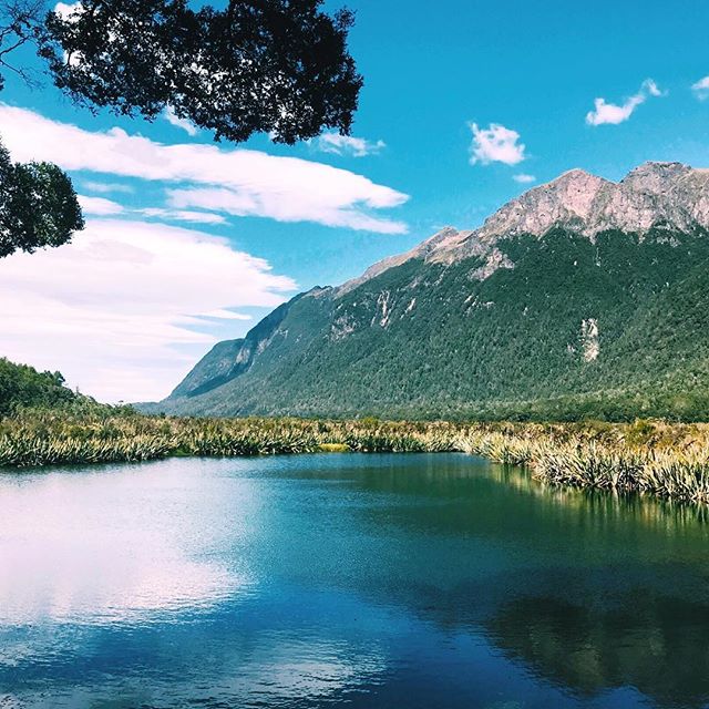 Hello 🎉2019 from beautiful #NewZealand #AbelTasman #kayaking &amp; #seals #MirrorLake En route to #MilfordSound ⚡️👏❤️#authors #authorslife #authorsofinsta #writerofinsta #writerslife #writerscommunity #inspiration #relax #rejuvenate #repair #newyea