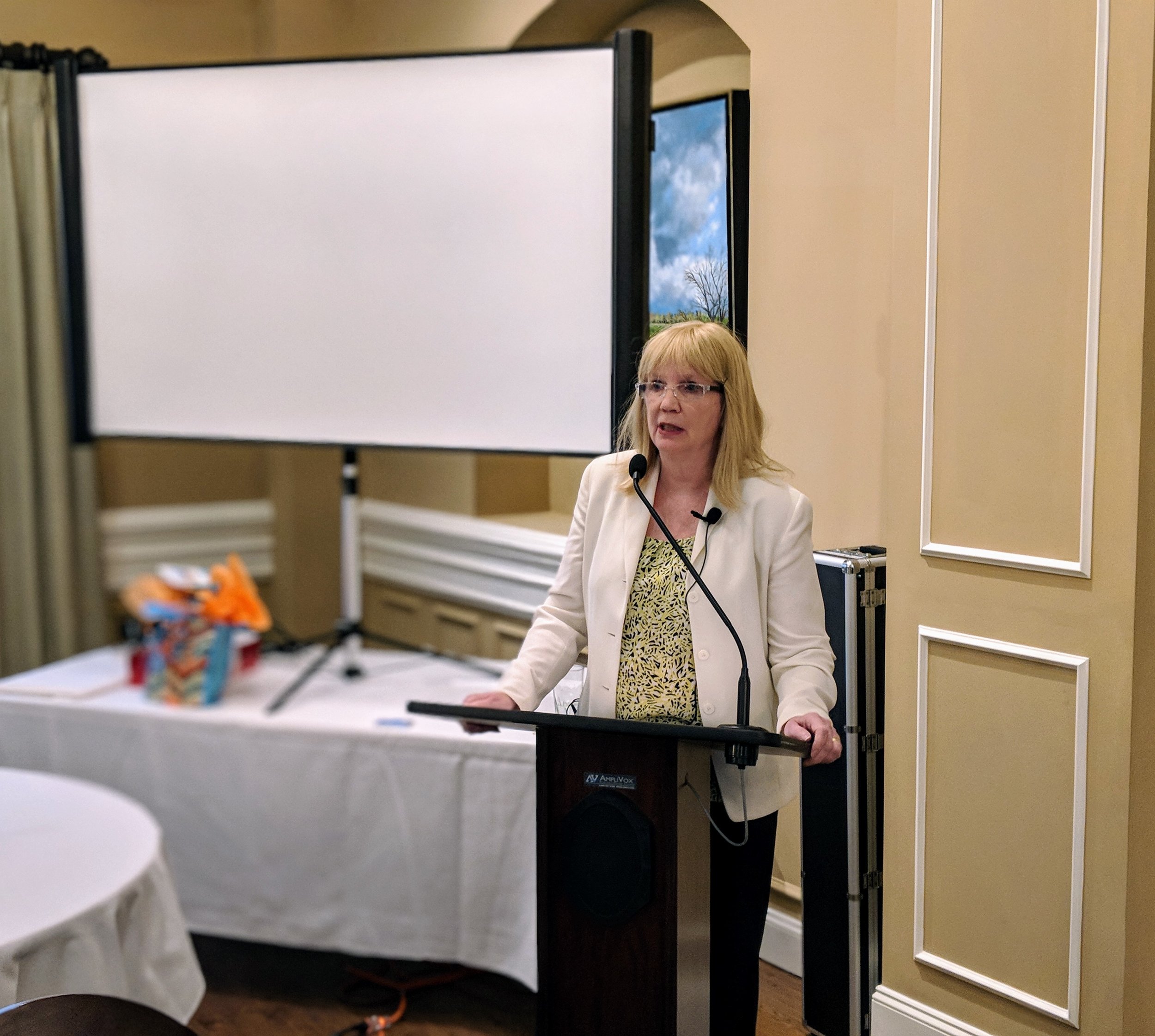 LSIN Monthly Meeting March 2018 Bobbi Carducci4.jpg