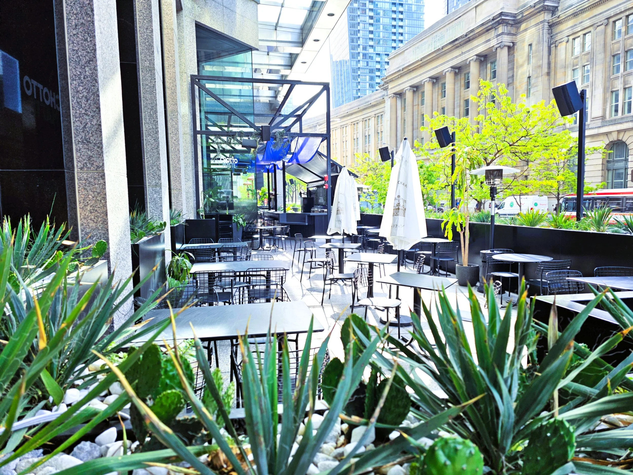 CHOTTO MATTE - Toronto