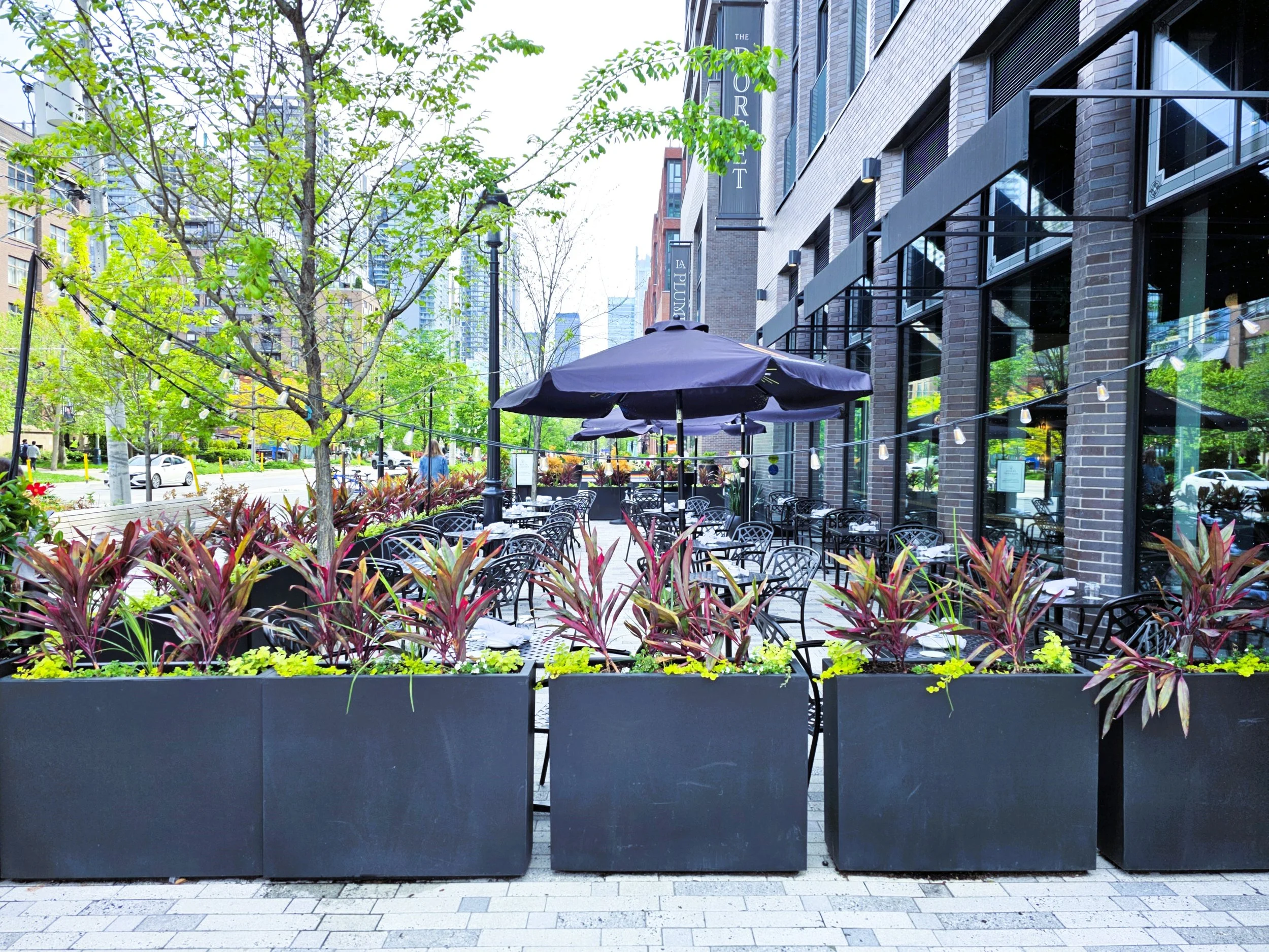 The Dorset - The Well Toronto