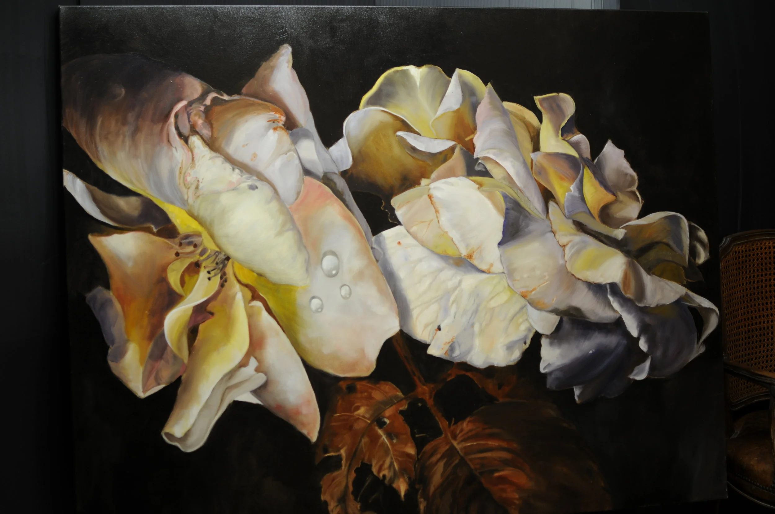 ROSE 5