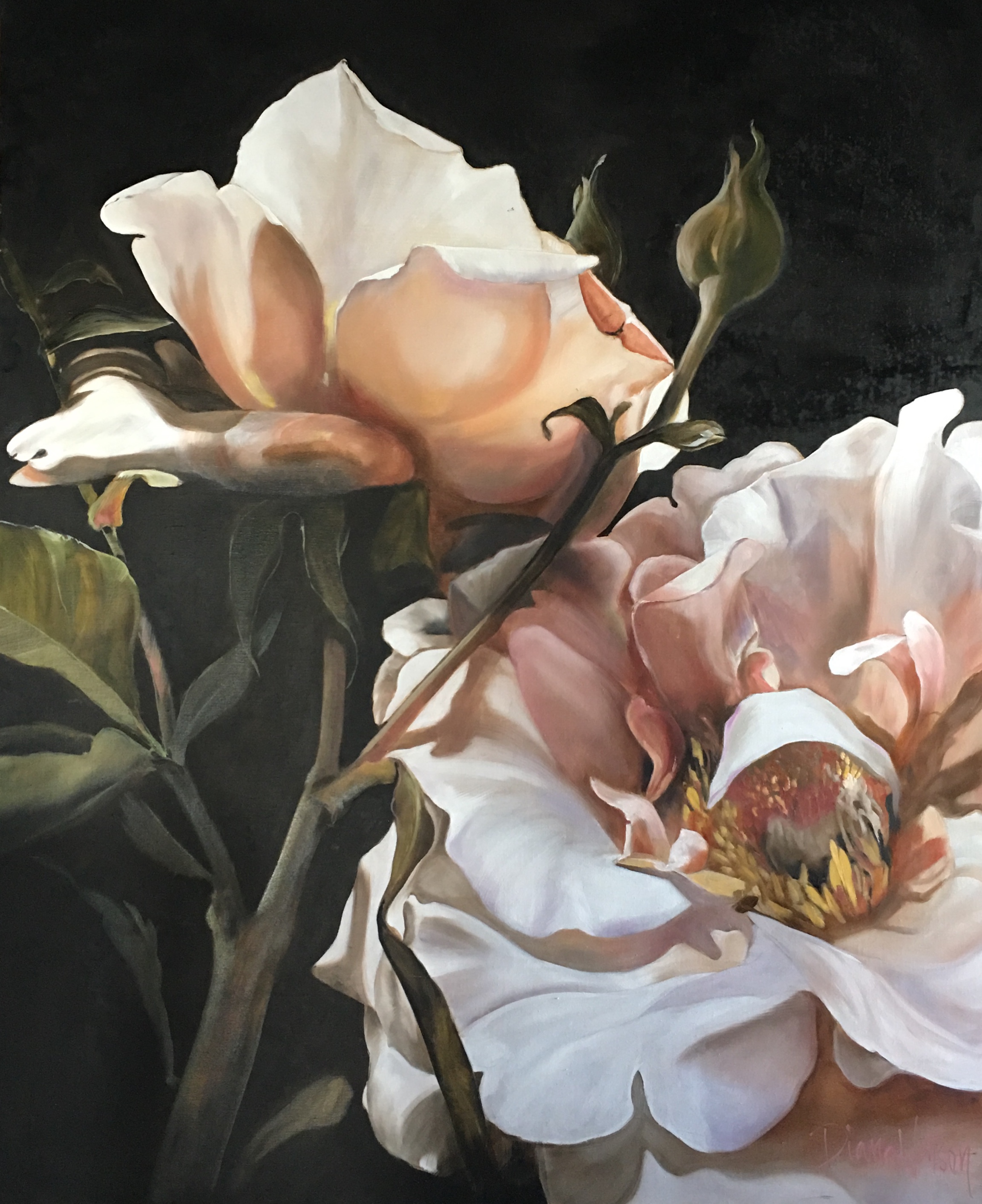 AUGUSTINA 153X122