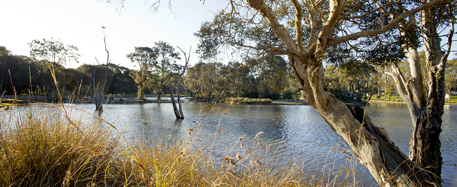 LakeG_photo3.png