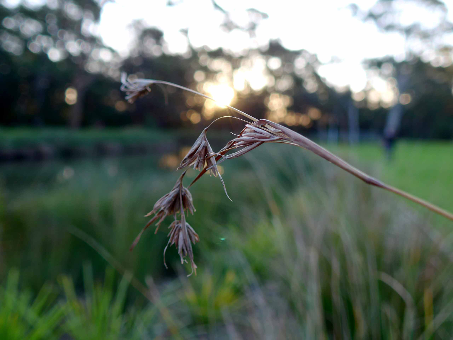 LakeG_photo6.png