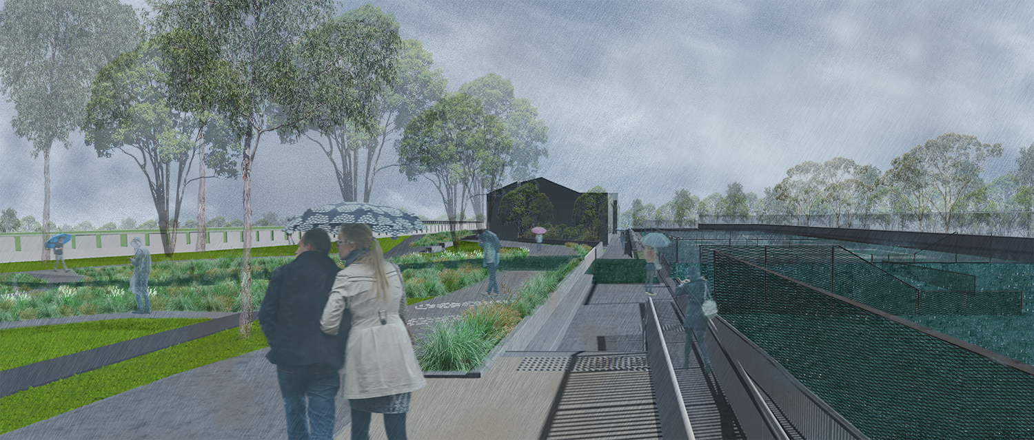 Waitara_Park_Rain_1.png