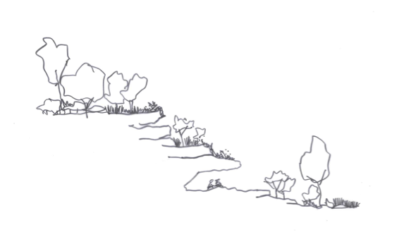 landscape typologies sketch_Sprout_Landscape Architecture.png