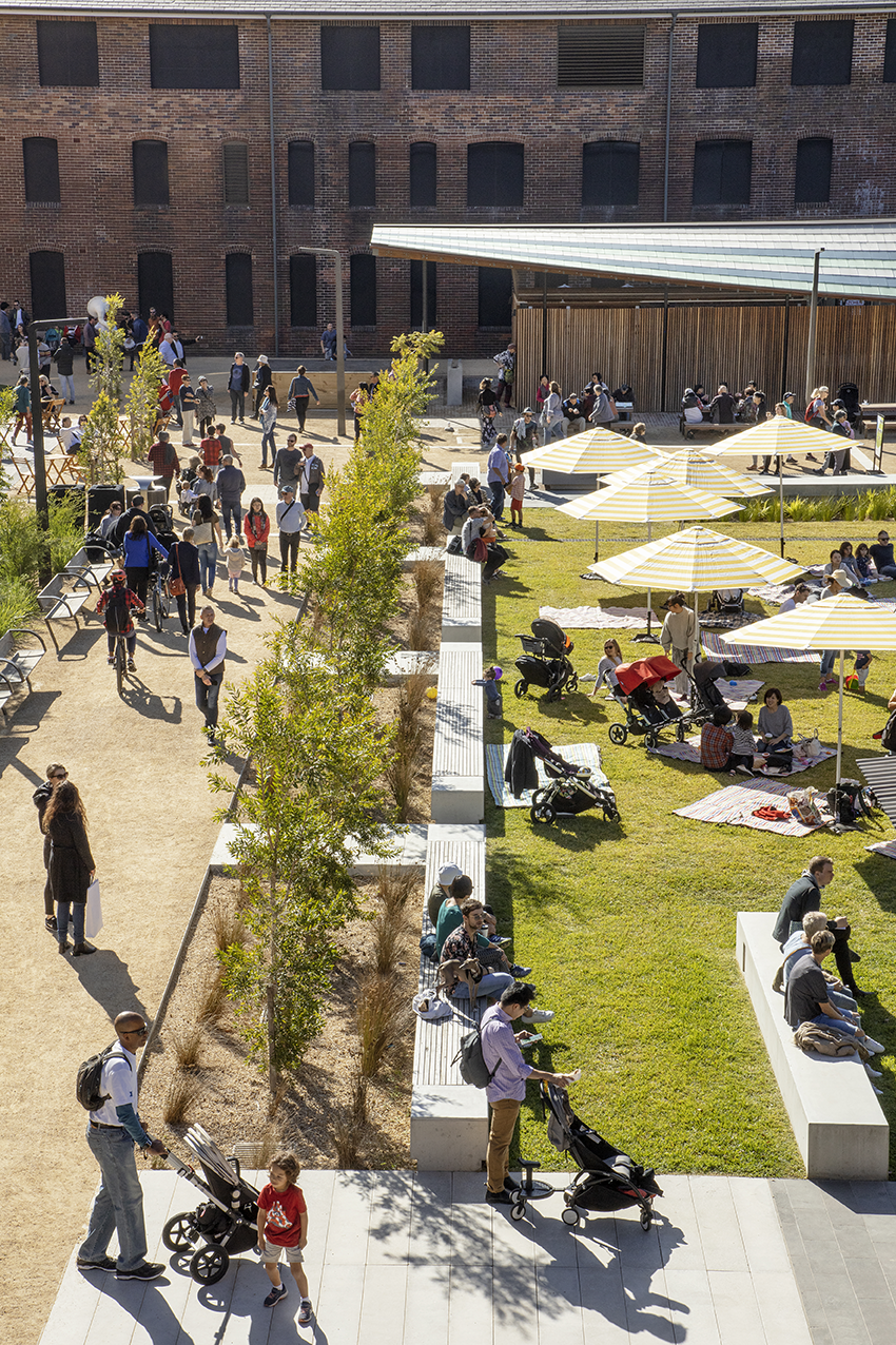 SWP_SPROUT-MRG PARK_IMG_2578.png