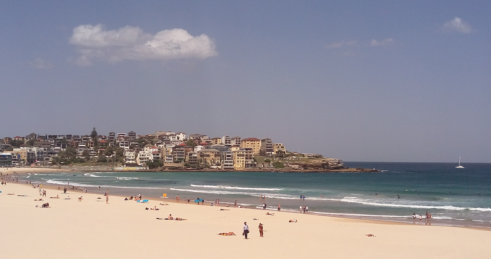 South Bondi Amenities_Sprout_01.png